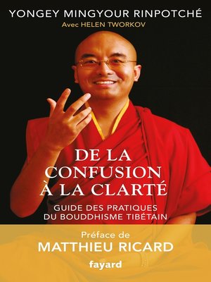 cover image of De la confusion à la clarté